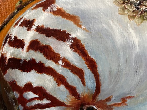 The still life with a nautilus shell