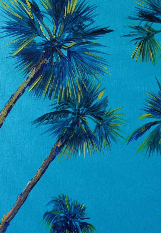 Palm Trees on the road, on Turquoise Background