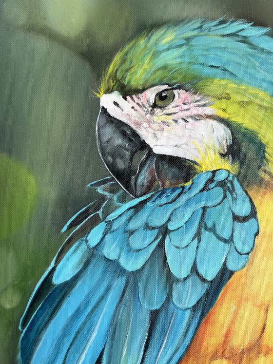 Parrot oil painting