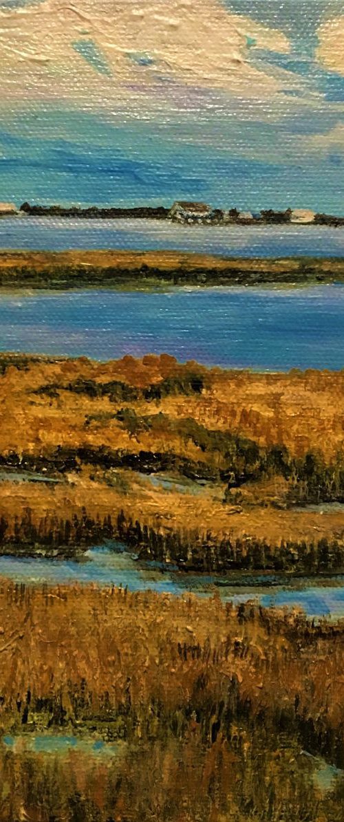Tidal Marsh Near St Michael's on the Chesapeak Bay by Nancy Brockmon