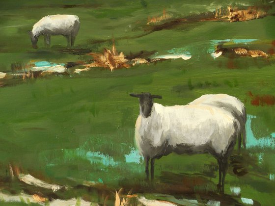 Grazing Sheep 4