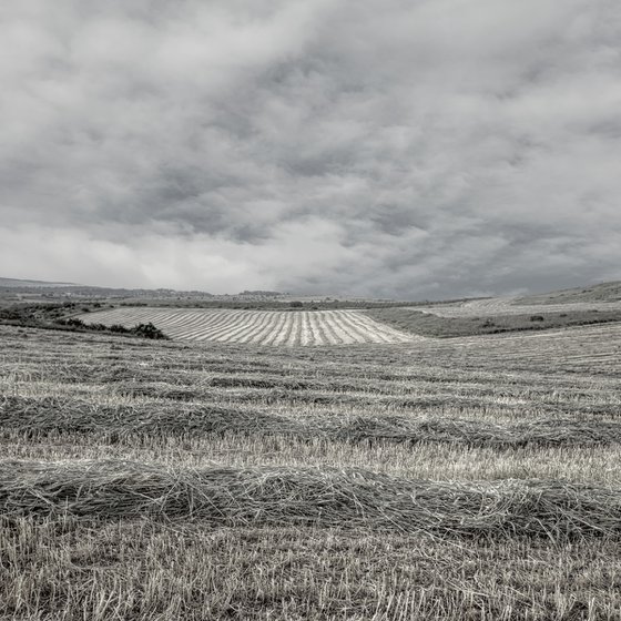 Countryside