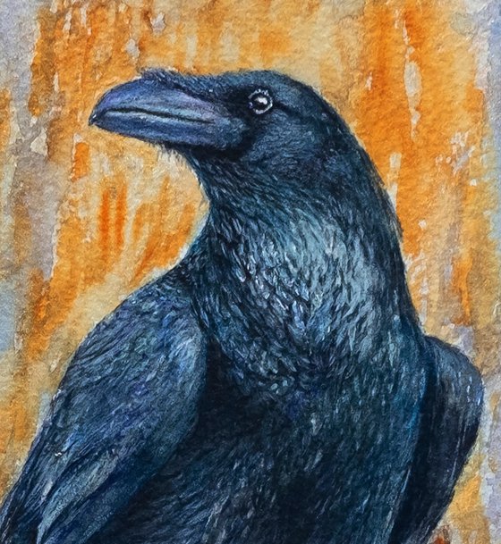 The Raven