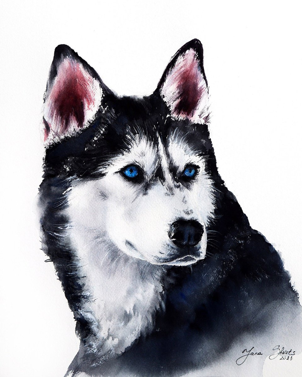 Husky Watercolor Painting - Pet Portrait by Yana Shvets