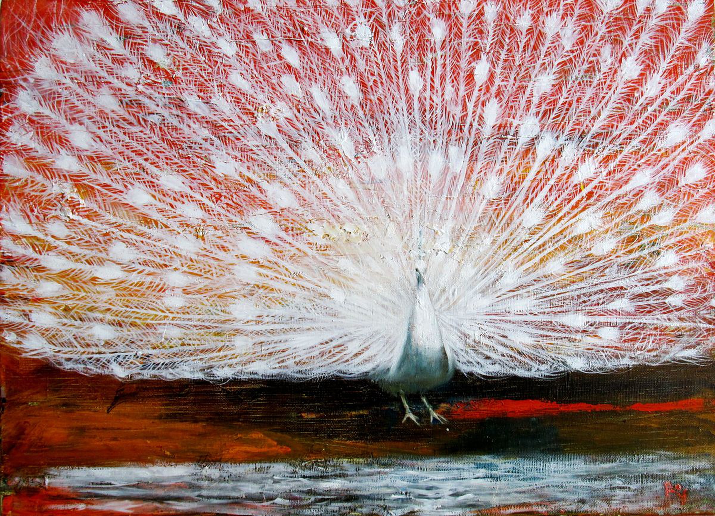 The White Peacock Oil Painting By Serhiy Roy Artfinder