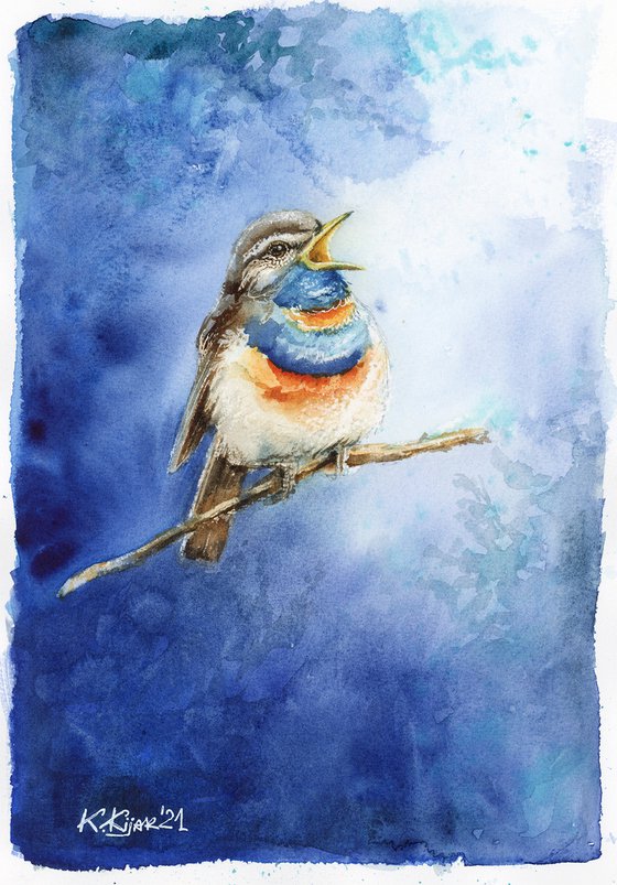 Bluethroat, watercolor of birds and wildlife