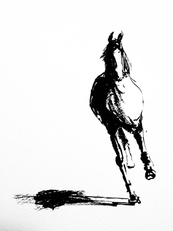 Horse series #1 - Black and white