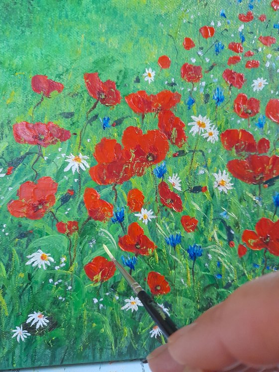 Wildflower meadow