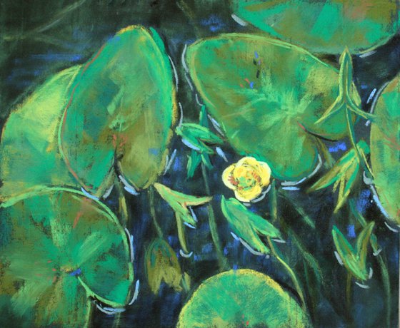 Pond ... Yellow Water Lily ... /  ORIGINAL PAINTING