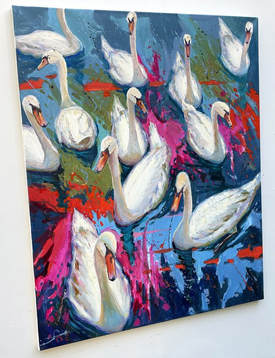 "White swans"