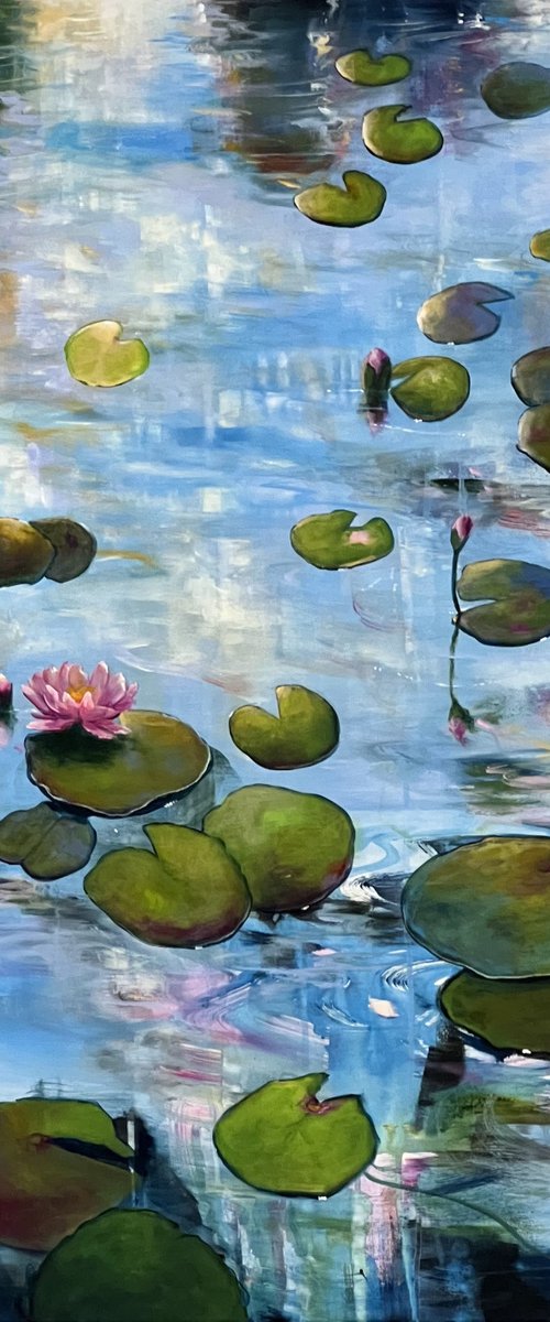 Always Waterlilies 4 by Sandra Gebhardt-Hoepfner