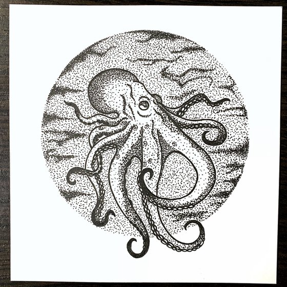 Octopus