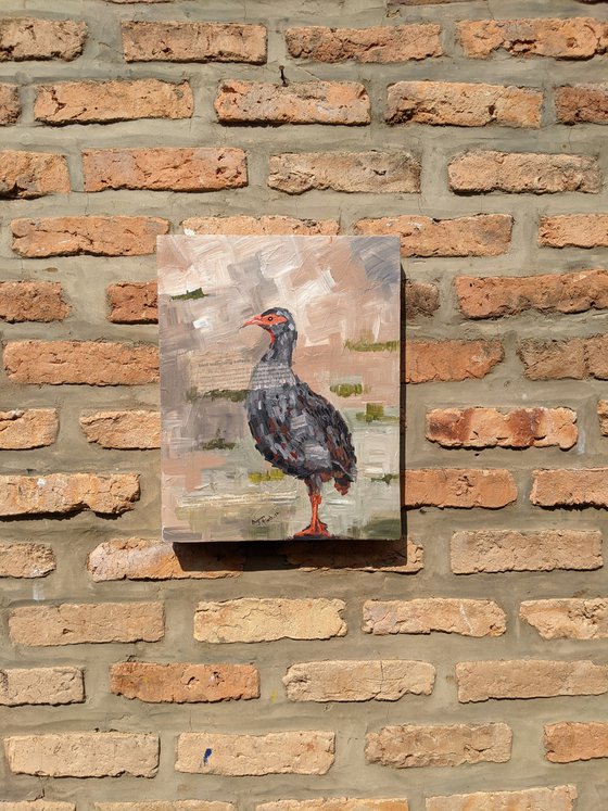 INKWARE (RED FRANCOLIN)