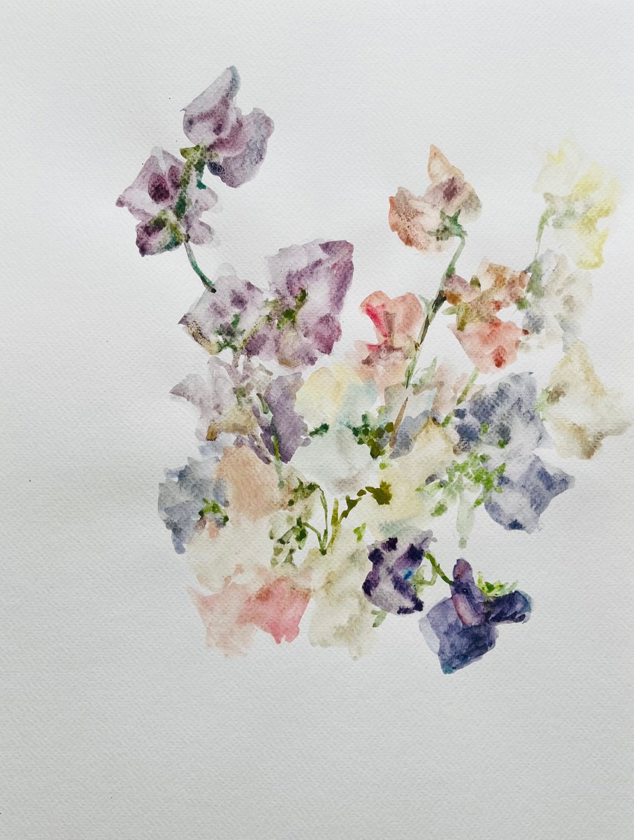 Impressionistic Still Life Watercolour By Elena Klyan, 11 X 16, Sweet Pea 11,4X15,7 In, Original Artwork
