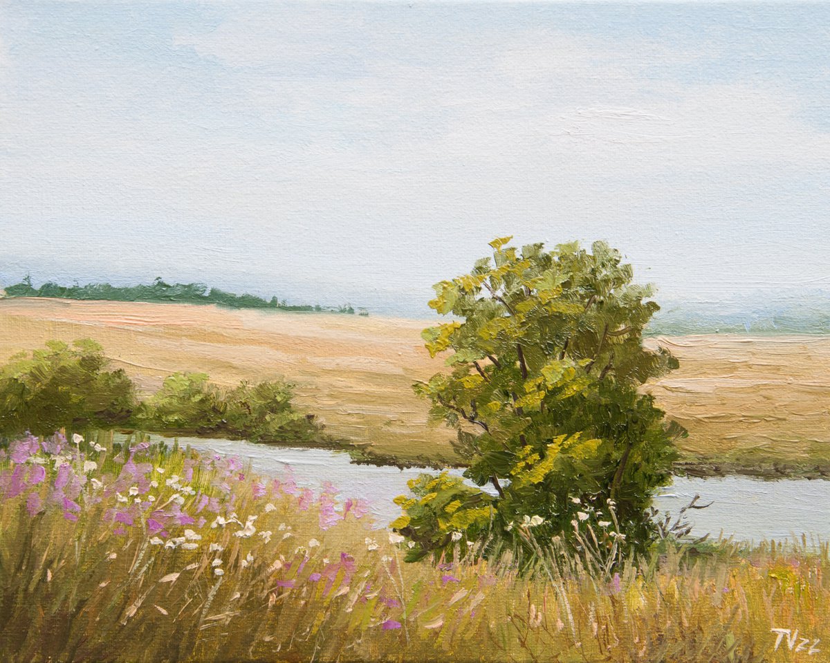 Summer landscape. Oil painting. Flower field. Original Art. 8 x 10 by Tetiana Vysochynska