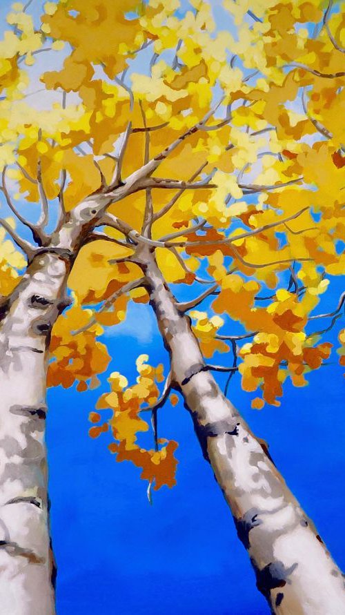 3D Tall Silver birch trees by Marilene Salles