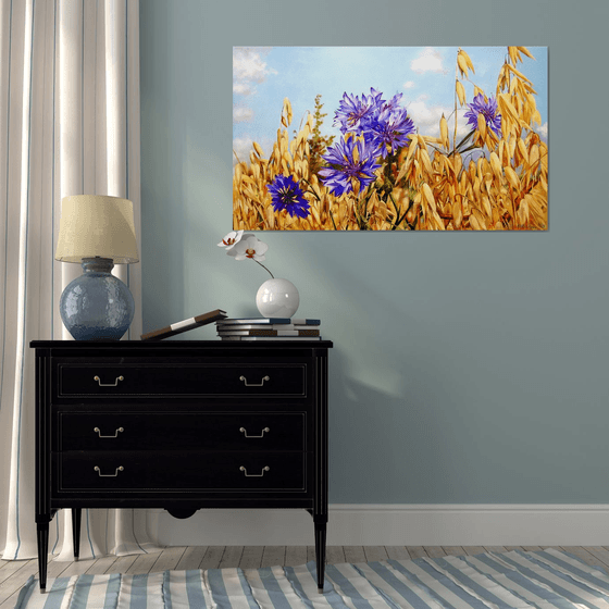 Cornflowers in Ukrainian Field