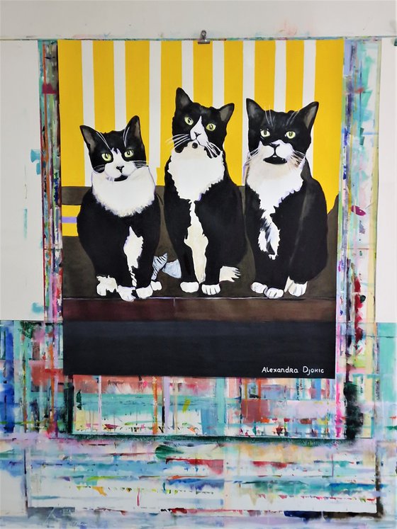 Three cats / 84 x 70 cm