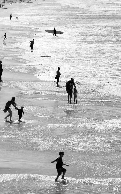 Not Just Another Day at the Beach by Robert Tolchin