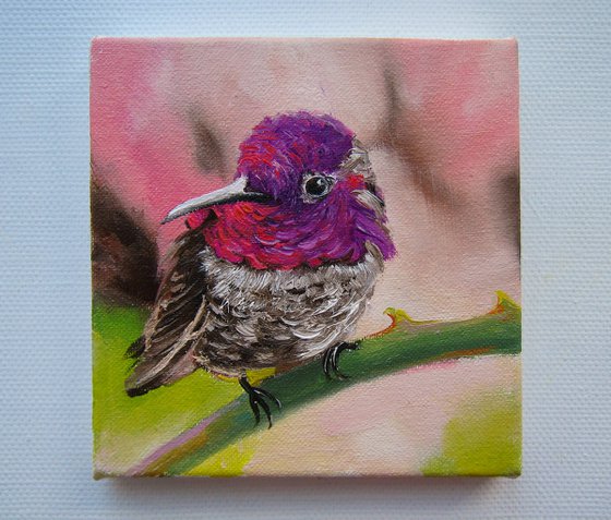 Purple Glow Hummingbird