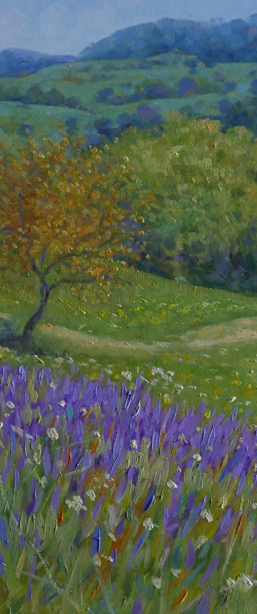 Spring in bloom in Tuscany by Claudio Ciardi