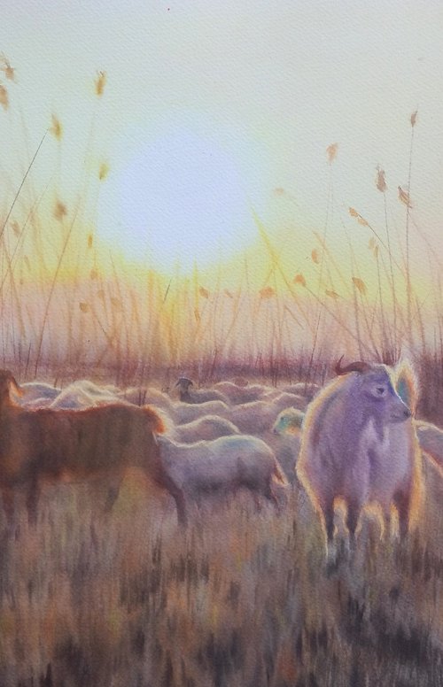 Herd of goats in the sunset by Olga Beliaeva Watercolour