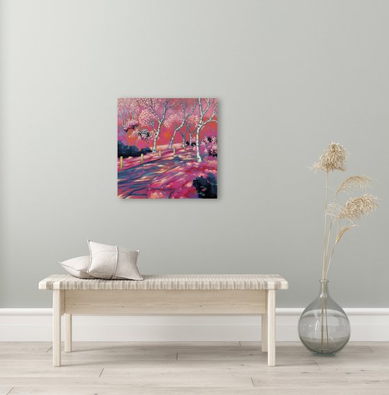 Evening in Pink