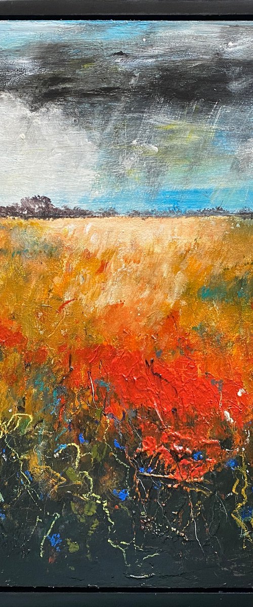 Orange Field with blue cornflowers (framed) by Teresa Tanner