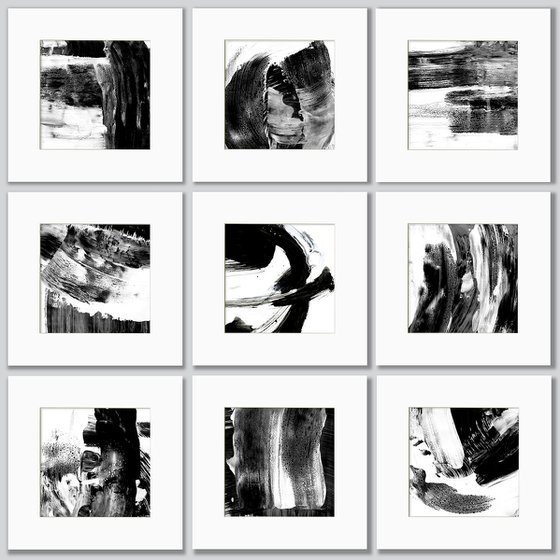 Brush Dance Collection 24
