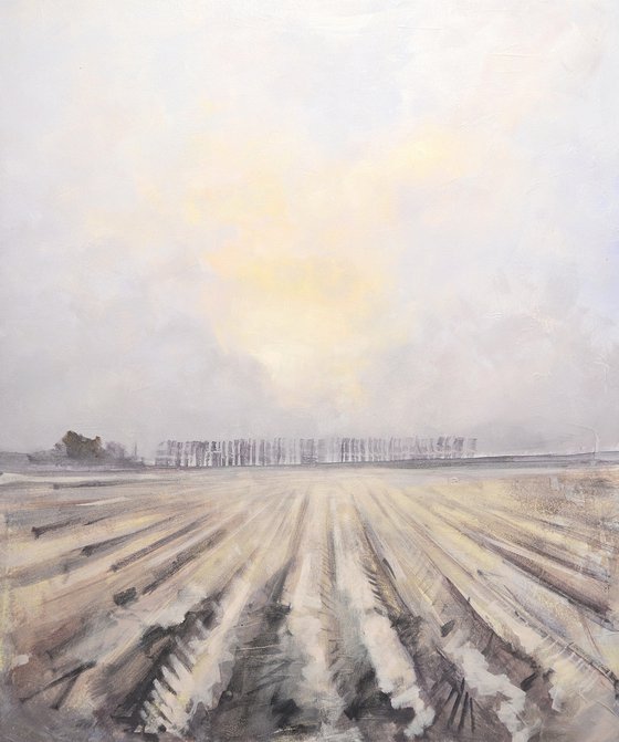 Winter sun, ploughed field, Norfolk.