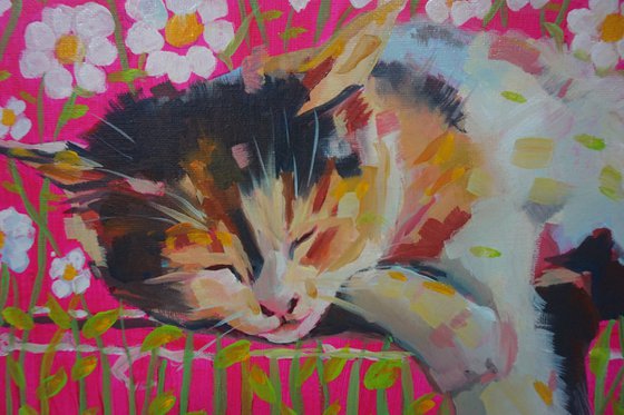 Colorful cats 1