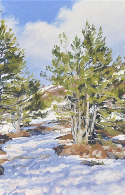 Pines on Snowy Mount Mézenc by ANNE BAUDEQUIN
