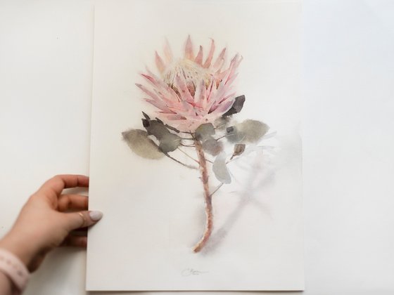 Protea