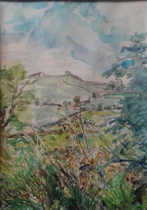Pennine Meadow by Ann Kilroy