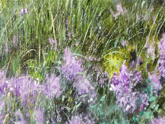 Purple Meadow at Sunrise