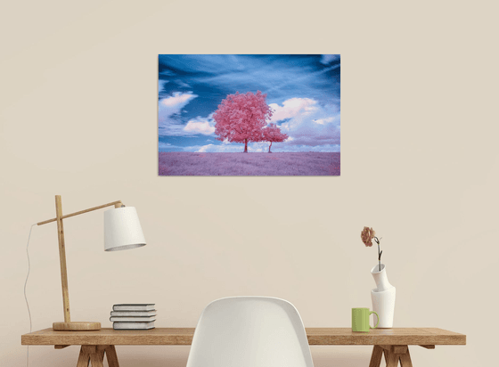 Two trees in infrared