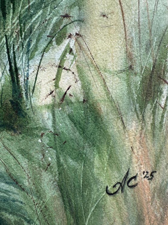 Aqua: Among the Reeds