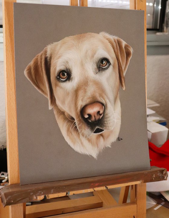 LABRADOR