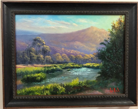 Sunset at Snowy River
