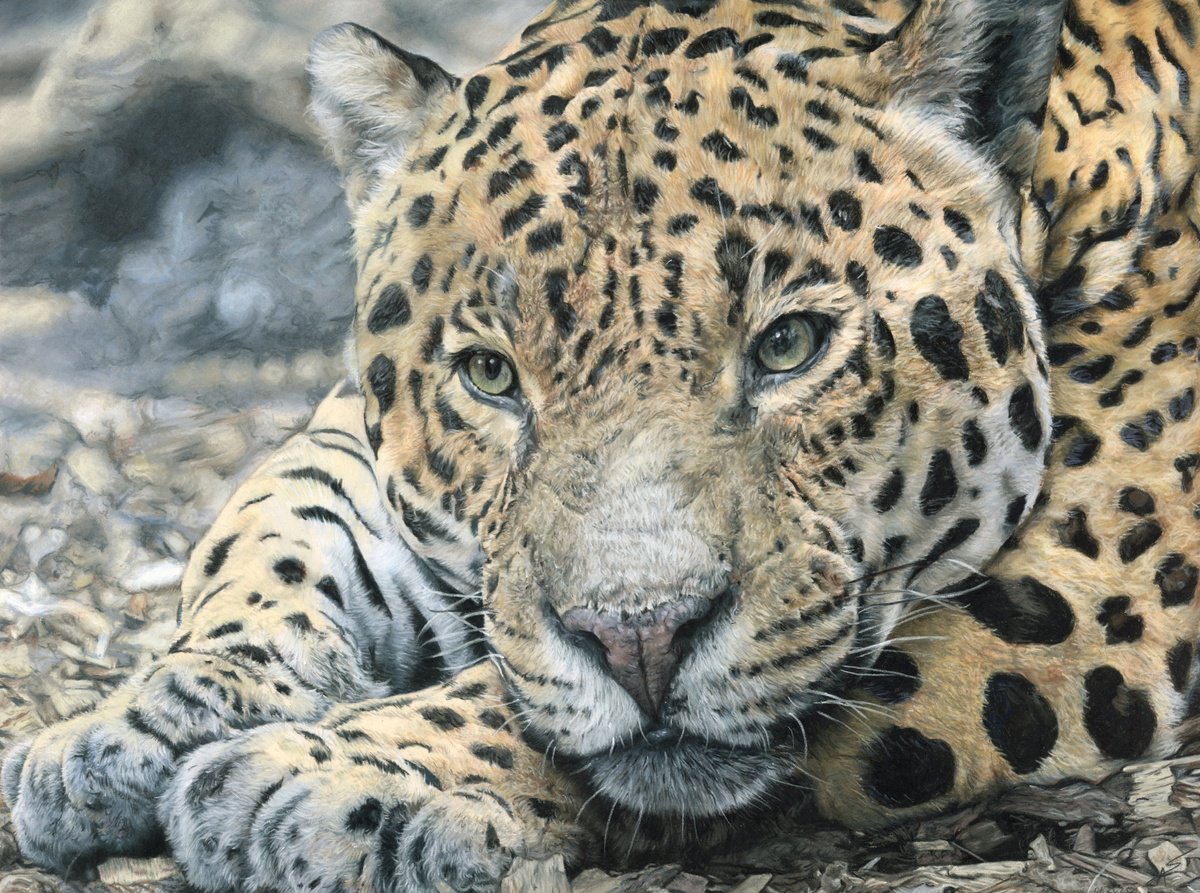 Photorealistic Pastel Drawing , Thoughts Are Free By Annika Schmitt, 20 X 16, Artwork For Sale On Artfinder