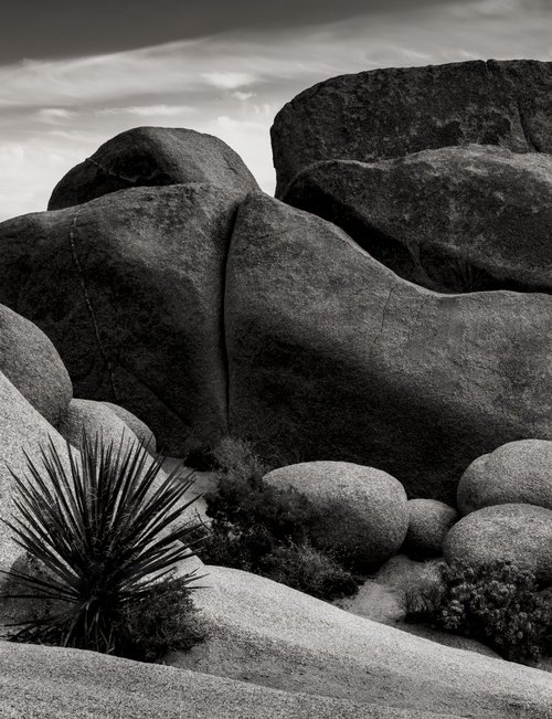 Enduring Form by Brandon LeValley