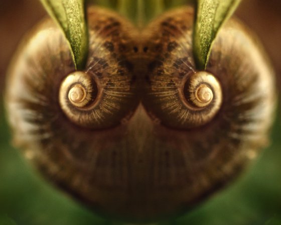 The Treasure - diptych