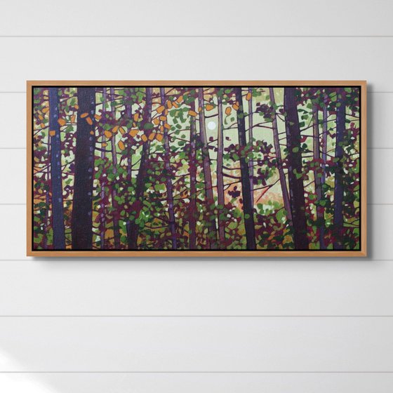 Light Through the Woods