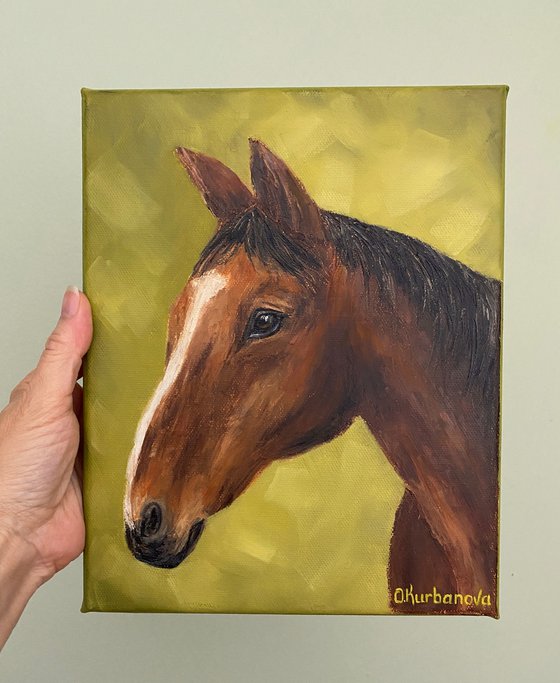 Horse