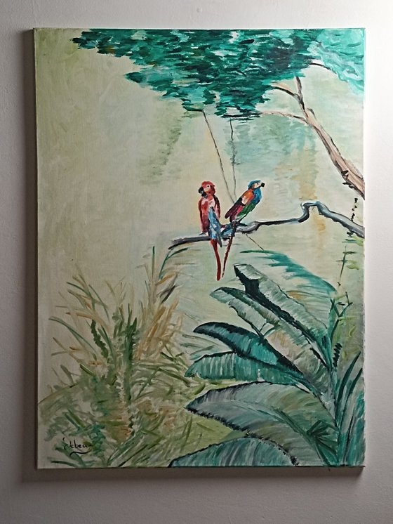 Parrots birds