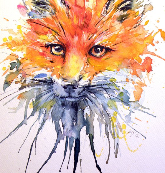 Red fox