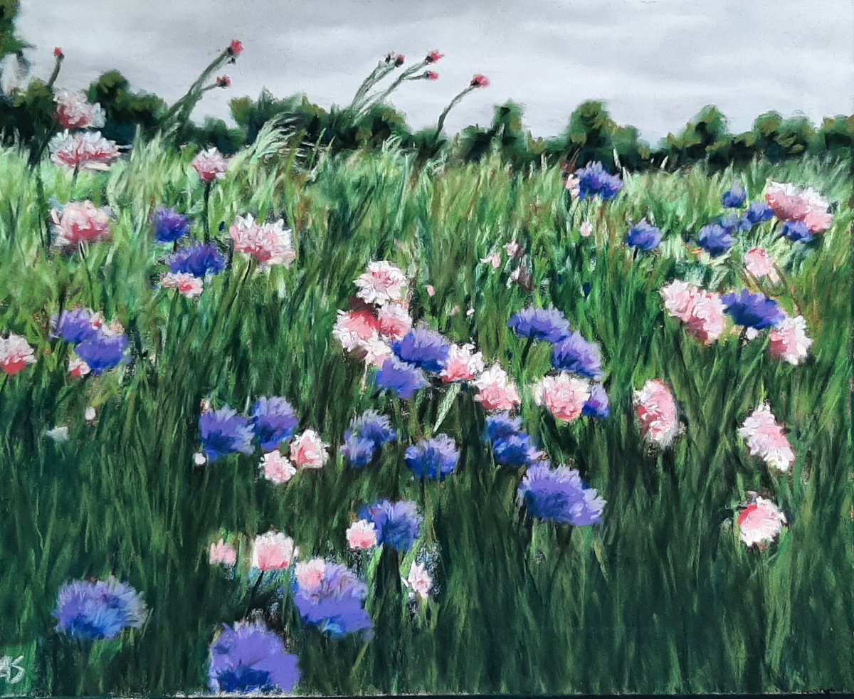 Summer Fields by Anne Shaughnessy