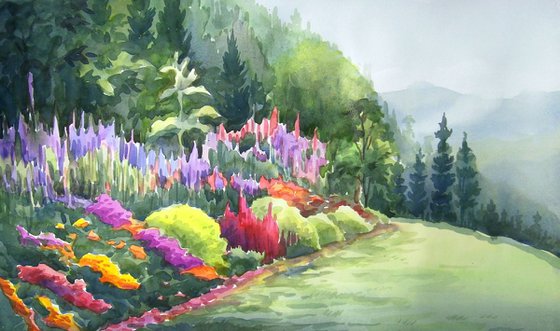 Flowers Garden in Mountain