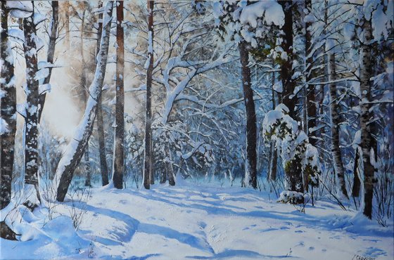 Winter Woodland Snow Scene