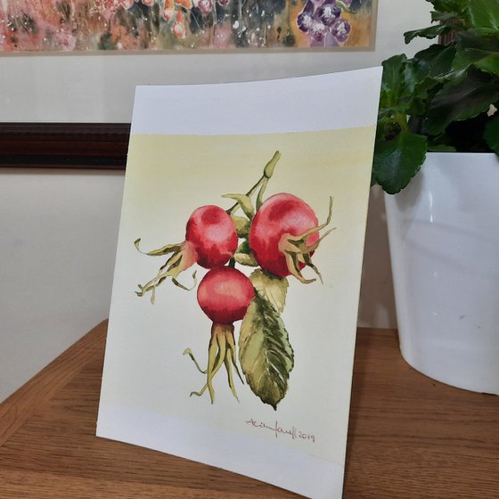 Ruby Rosehips - Watercolour